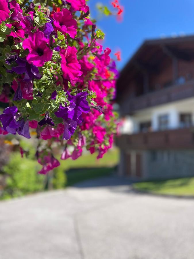 Apartment Luserblick *