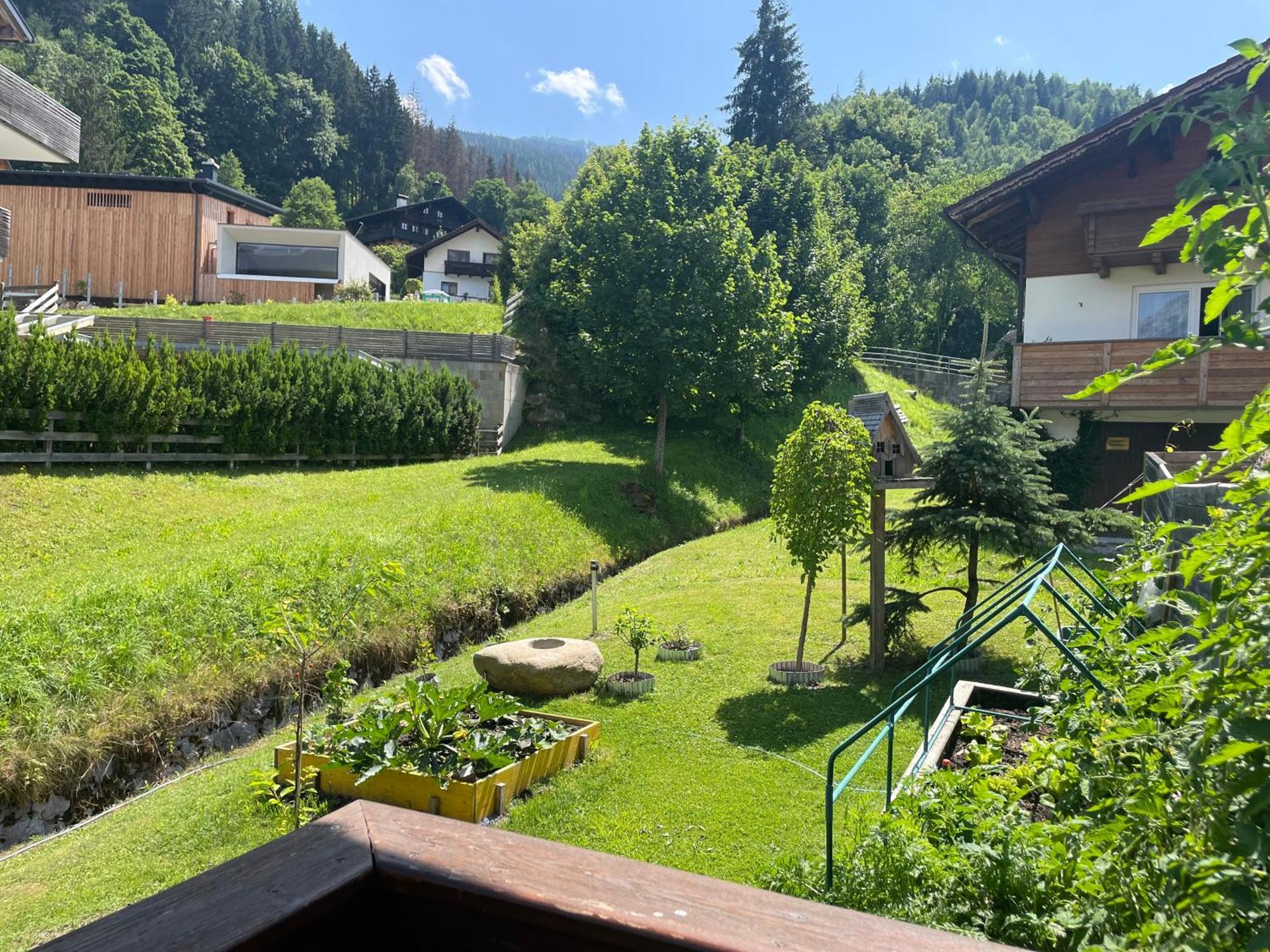 Luserblick *